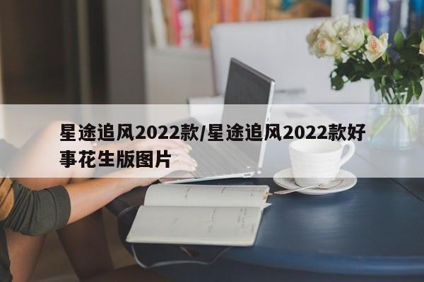 星途追风2022款/星途追风2022款好事花生版图片
