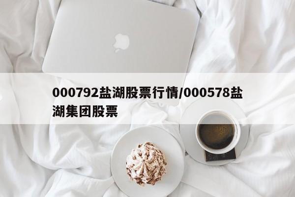 000792盐湖股票行情/000578盐湖集团股票
