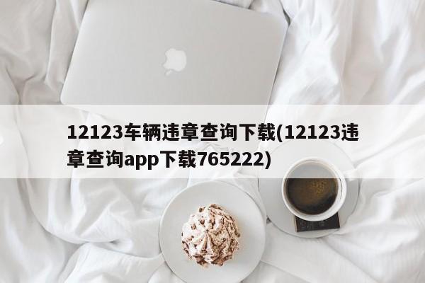 12123车辆违章查询下载(12123违章查询app下载765222)