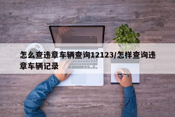 怎么查违章车辆查询12123/怎样查询违章车辆记录