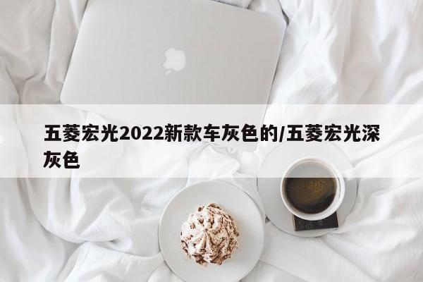 五菱宏光2022新款车灰色的/五菱宏光深灰色