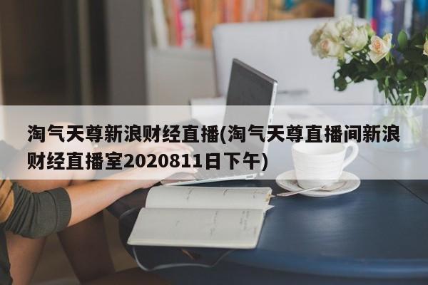 淘气天尊新浪财经直播(淘气天尊直播间新浪财经直播室2020811日下午)