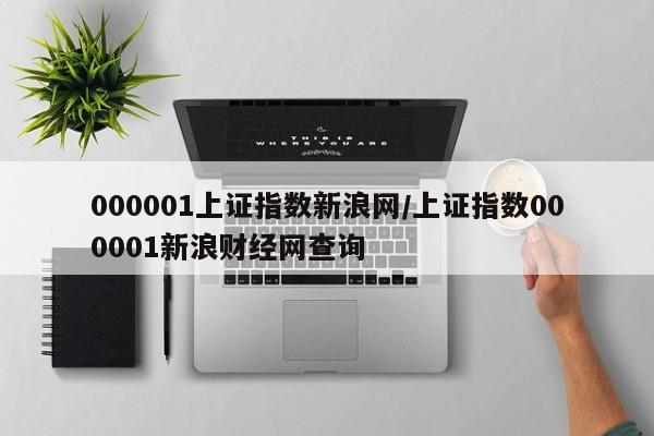 000001上证指数新浪网/上证指数000001新浪财经网查询
