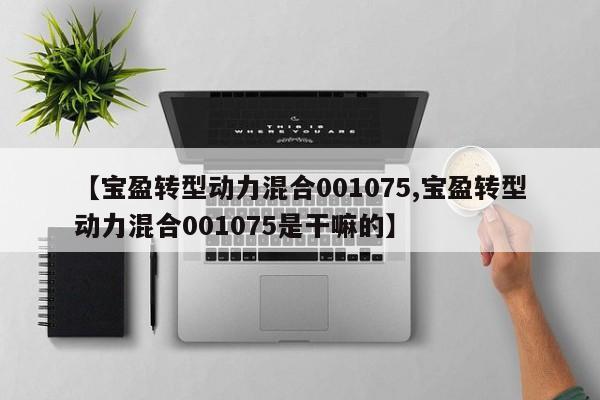 【宝盈转型动力混合001075,宝盈转型动力混合001075是干嘛的】