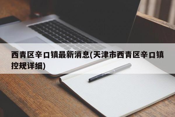 西青区辛口镇最新消息(天津市西青区辛口镇控规详细)