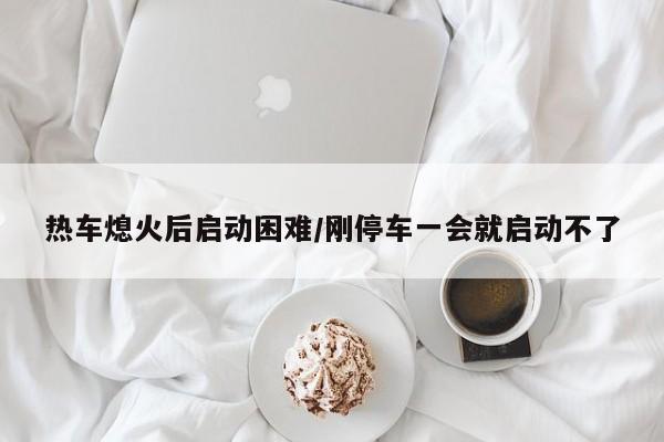 热车熄火后启动困难/刚停车一会就启动不了