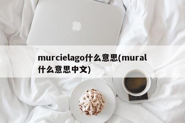 murcielago什么意思(mural什么意思中文)