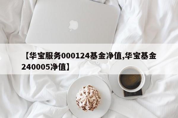 【华宝服务000124基金净值,华宝基金240005净值】