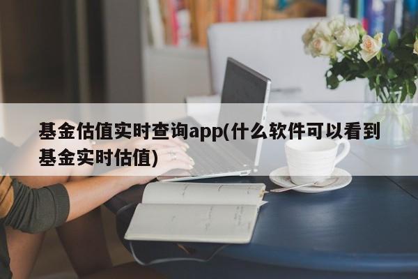 基金估值实时查询app(什么软件可以看到基金实时估值)