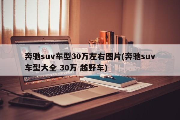 奔驰suv车型30万左右图片(奔驰suv车型大全 30万 越野车)