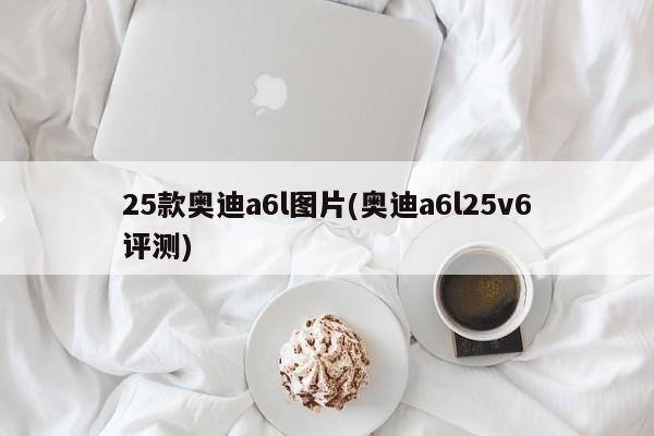 25款奥迪a6l图片(奥迪a6l25v6评测)