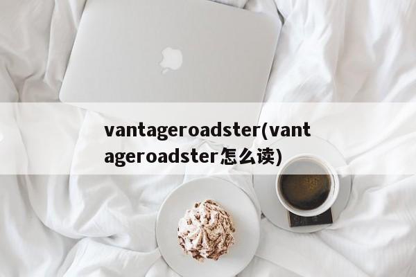 vantageroadster(vantageroadster怎么读)