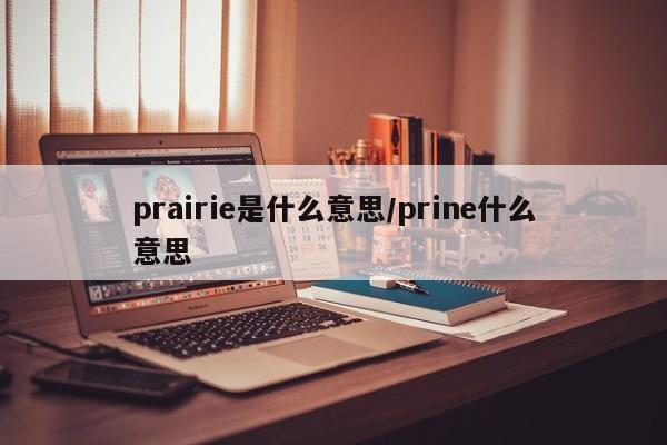 prairie是什么意思/prine什么意思