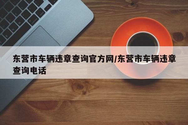 东营市车辆违章查询官方网/东营市车辆违章查询电话