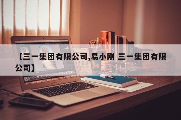 【三一集团有限公司,易小刚 三一集团有限公司】