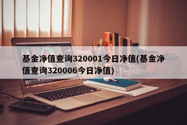 基金净值查询320001今日净值(基金净值查询320006今日净值)
