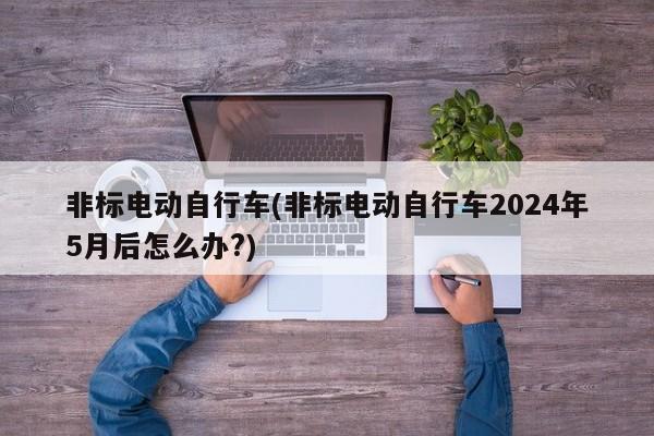 非标电动自行车(非标电动自行车2024年5月后怎么办?)